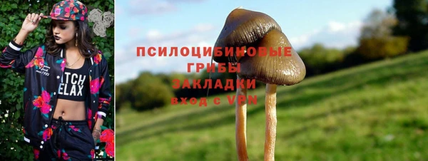 гашик Лагань
