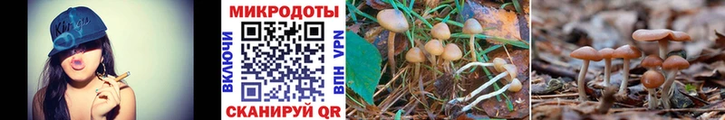 Псилоцибиновые грибы Magic Shrooms  сколько стоит  Нижняя Тура 